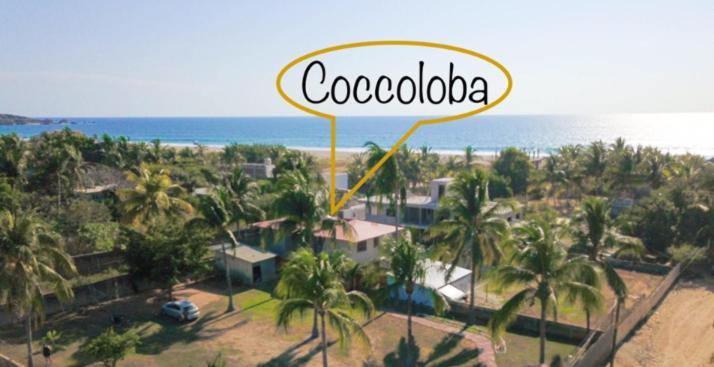 Coccoloba Guest House Puerto Escondido  Extérieur photo